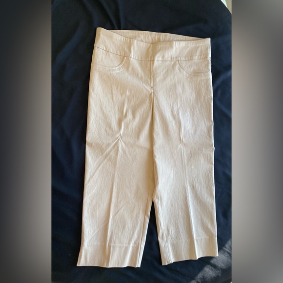 Ruby Rd Capri Pants Sz 12 NWT - Picture 5 of 12